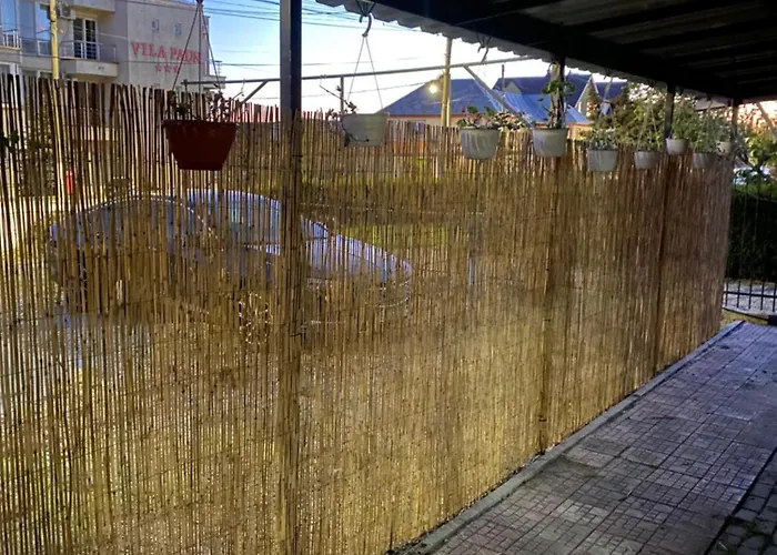 Guest house Nane Costinesti