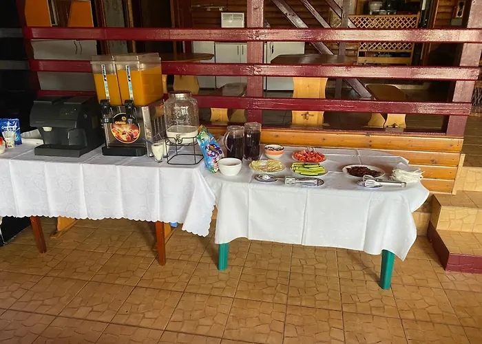 Nane Guest house Costinesti