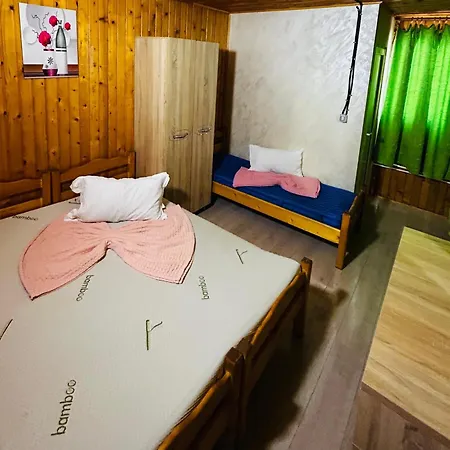 Nane Guest house *